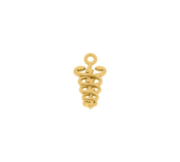 Pingente Fisioterapia Ouro 19mm